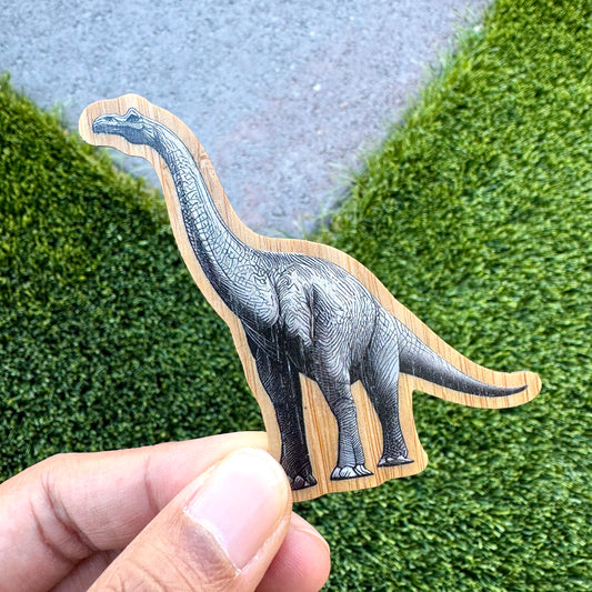 Diplodocus Dinosaur Bamboo Wood Sticker, Made in Las Vegas